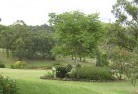 Aitkenvaleresidential-landscaping-40.jpg; ?>